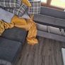 Free curved sofa couch Image 4