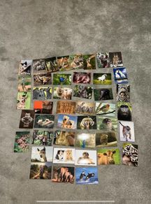 44 Postcards