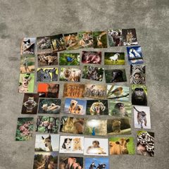 44 Postcards