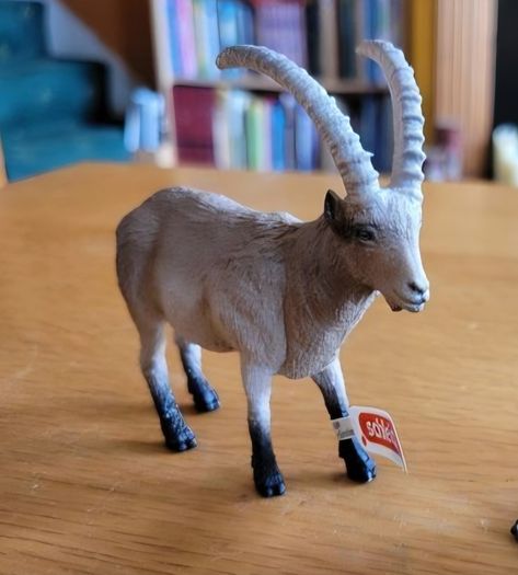 Schleich Animals - Wild life