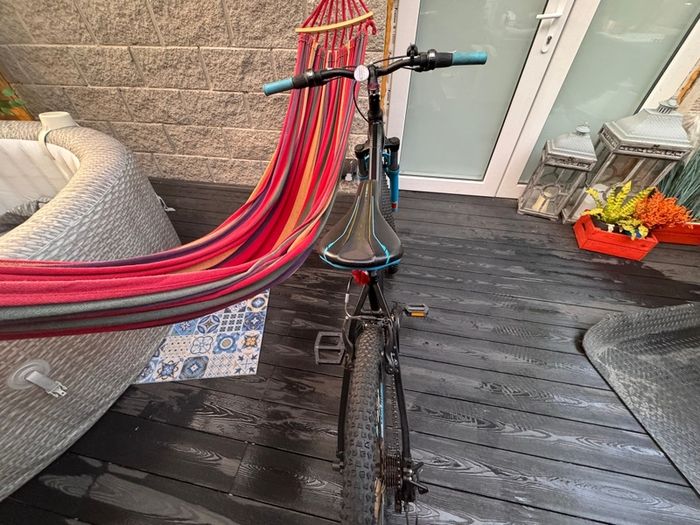 Team Hardtail bike
