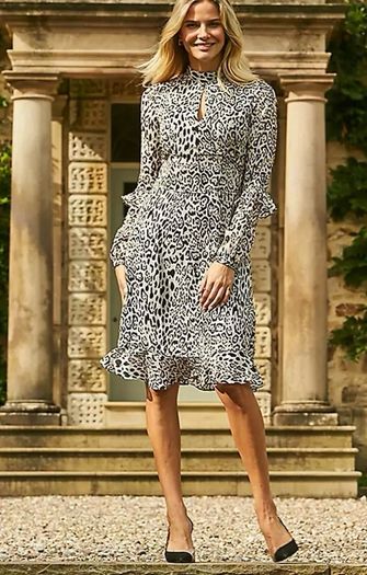 Sosander Leopard Print & Flare Dress