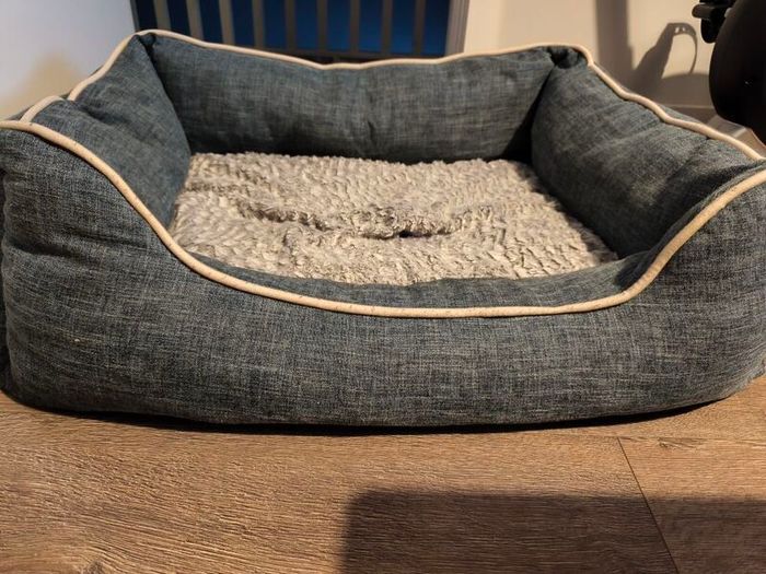dog bed