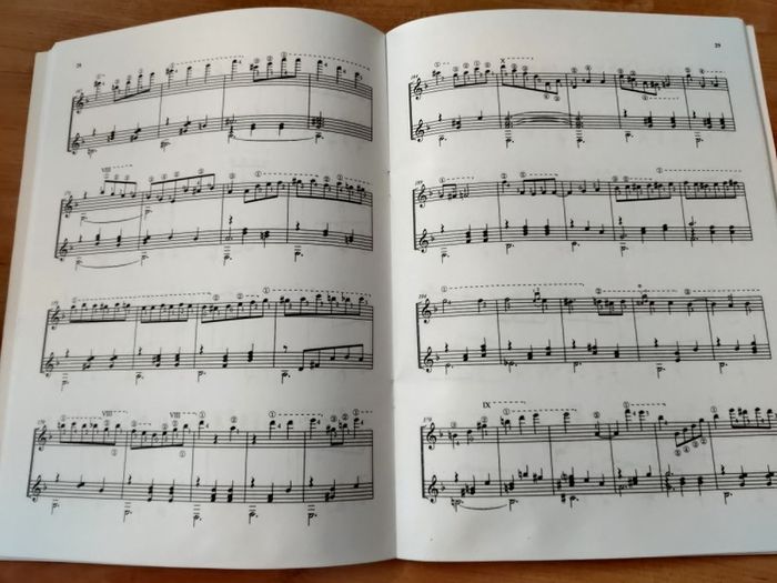 Guitar Book New
