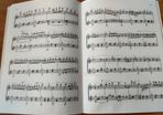 Guitar Book New