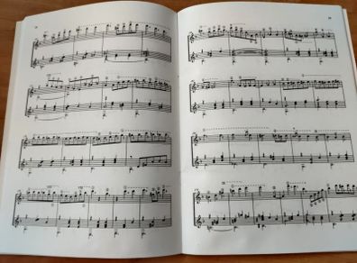 Guitar Book New