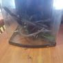 boyu fish tank Image 2