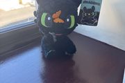 Toothless teddy