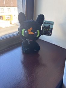 Toothless teddy