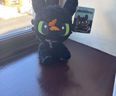 Toothless teddy