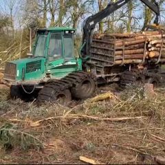Timber jack 1110D