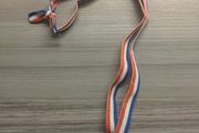 Plastic medal