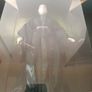 Harry Potter Deathly Hallows Lord Voldemort Exclusive Design Collection Image 4