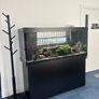 Fish tank Image 7