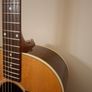 Gibson J-29 acoustic 2015 Image 5