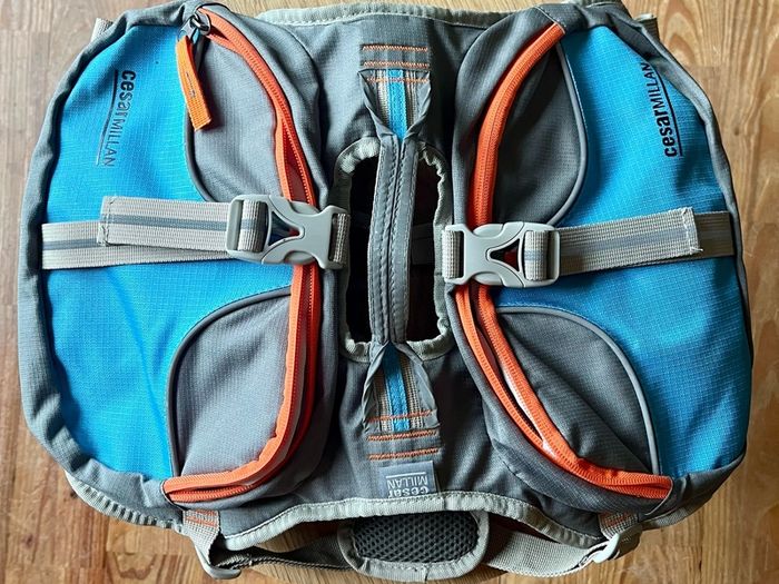 Dog Backpack