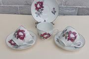 Beautiful Set of Three Teacup and Saucer Duos by Arklow Pottery in the Very Popular and Collectable "Autumn Rose" Pattern