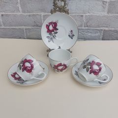 Beautiful Set of Three Teacup and Saucer Duos by Arklow Pottery in the Very Popular and Collectable "Autumn Rose" Pattern