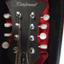 Tanglewood Electric Mandolin Image 2