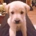 Vinster