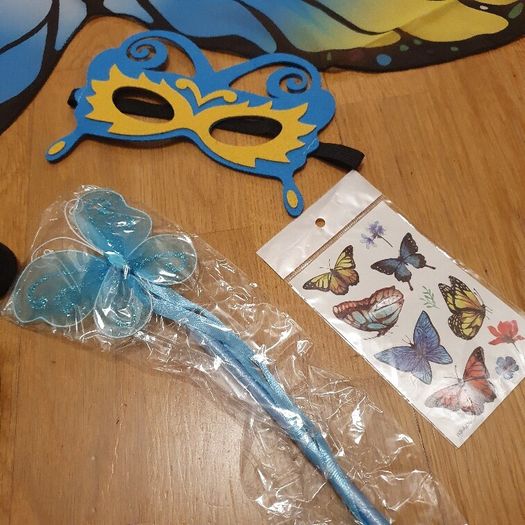 A butterfly costume for 4-6 years old