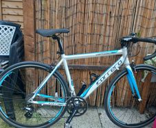 carrera road bike