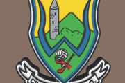 Wicklow GAA Crest Lightbox