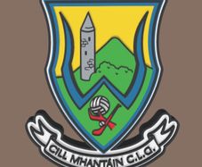 Wicklow GAA Crest Lightbox