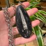 1 Ancient Energy Orthoceras Fossil Beautifully Soldered on a Chunky Silver Belcher Chain Image 6