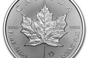 2025 Canada 5 Dollars 1 oz Silver Bullion Coin - Maple Leaf BU (In Capsule)