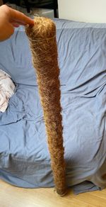 Moss pole