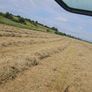 Hay Image 4