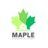maple