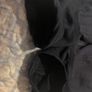 Horse riding trousers Image 4