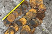 Solid steel discs