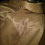 BNWT Vila beautiful coat size S UK8/10 EUR36/38  Postage included Image 4