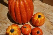 pumpkins for display