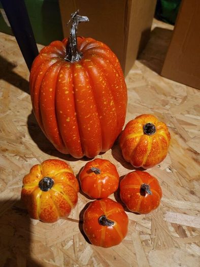 pumpkins for display