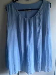 blue blouse
