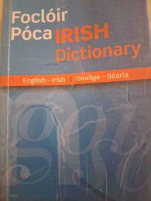 Focloir Poca Irish Dictionary (Irish - English / English - Irish)