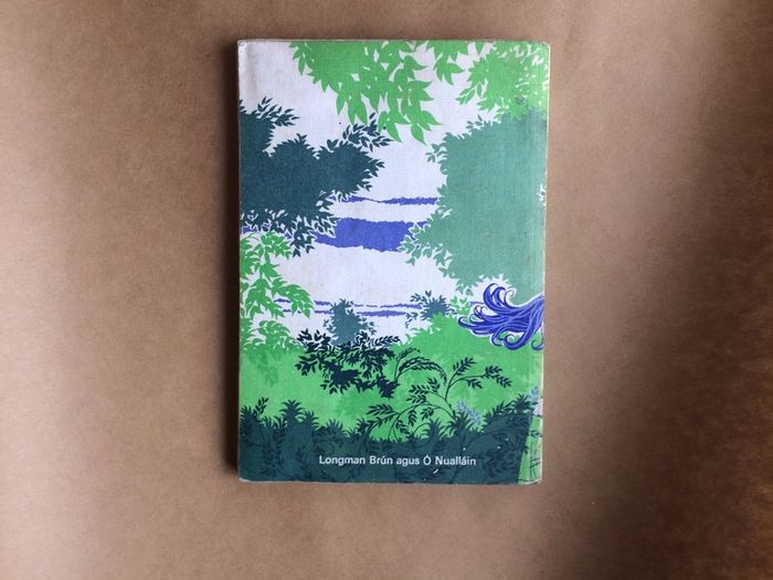 Leabhar- Toraiocht Dhiarmada agus Ghrainne