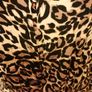 Women's Dress Nwot Reduced Gallery Size 14 Image 3