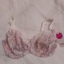 Freya Viva - Underwired Side Support Bra 32F - Coral Snake  - BNWT RRP 42 Image 5