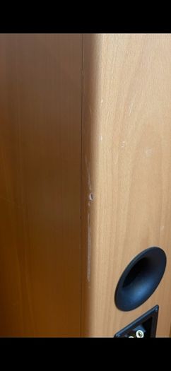 Sony 150 watt Floor Standing