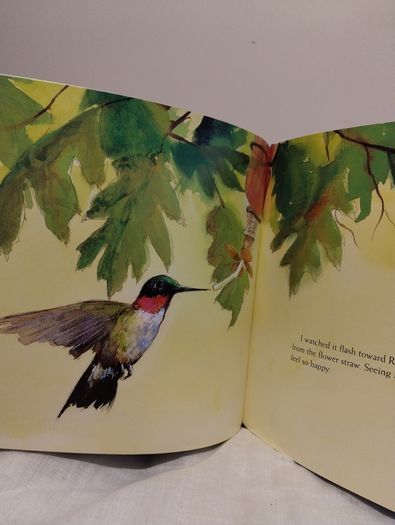 Rudi,s Pond Hardback Book