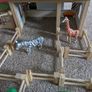 Playtive Zoo Enclosure Image 9