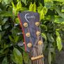 Faith Venus Blood Moon Left Handed Guitar Image 5