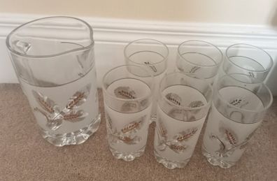 Vintage Italian Covetro Pitcher and glass set
