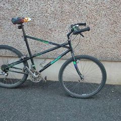 Bianchi ragno retro mountain bike