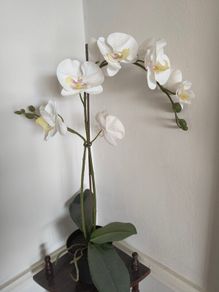 Artificial Plant